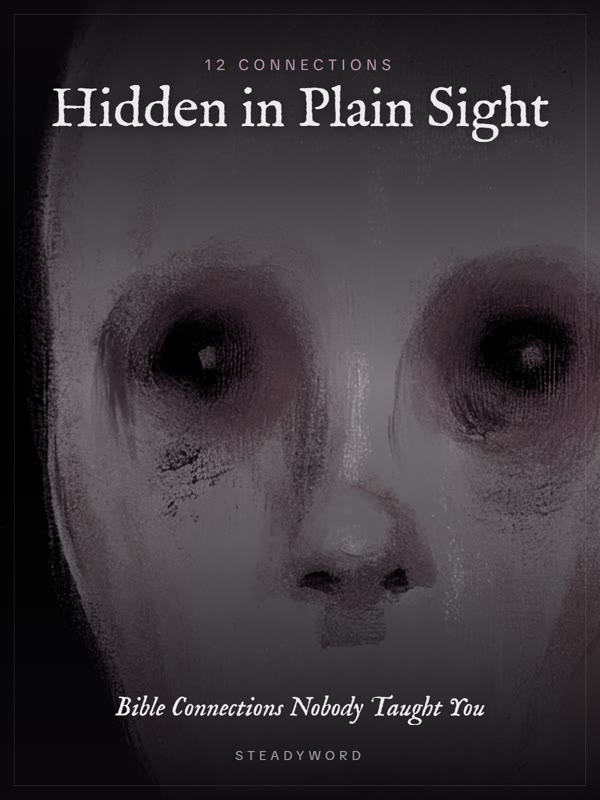 Cover of Hidden in Plain Sight: 12 Bible Connections Nobody Taught You